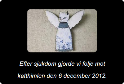 Bild-med-aengel-4.jpg